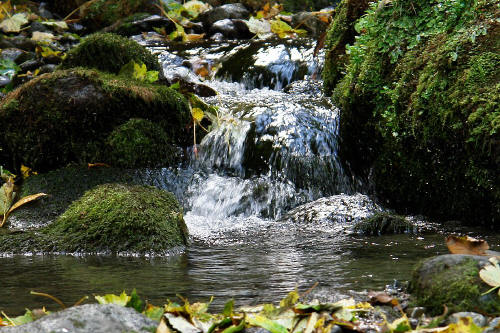 фотография 028 водопад камни осенние листья