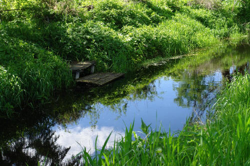 фотография 065 тихий пруд и мостик в траве