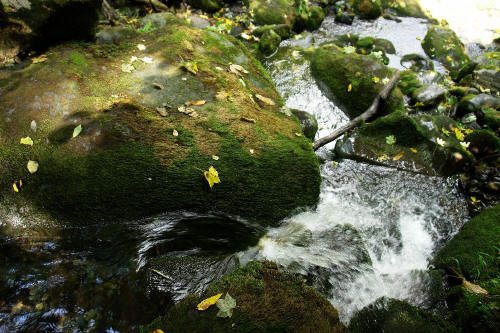 фотография 077 горный ручей поток воды