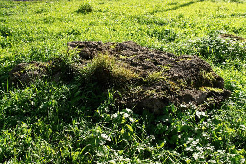 фотография 082 камень на поле валун в траве