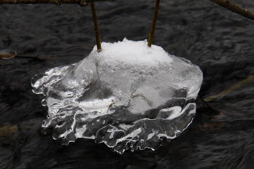 фотография 090 лед и вода замороженная ветка