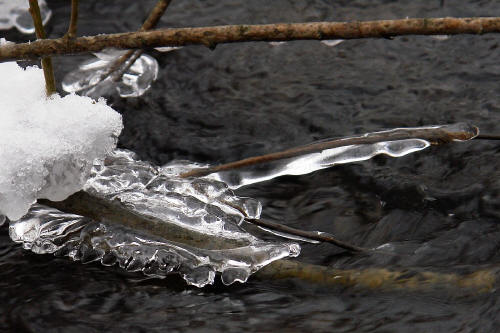 фотография 091 лед и вода замороженная ветка