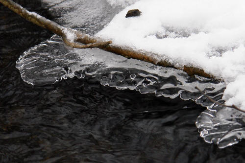 фотография 092 лед и вода замороженная ветка