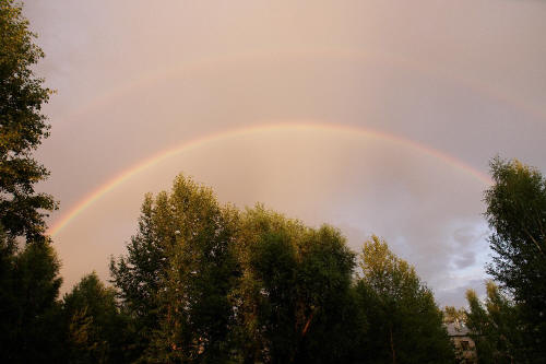 фотография 103 двойная радуга над деревьями
