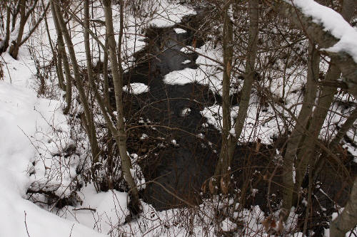 фотография 124 река зима снег ветки